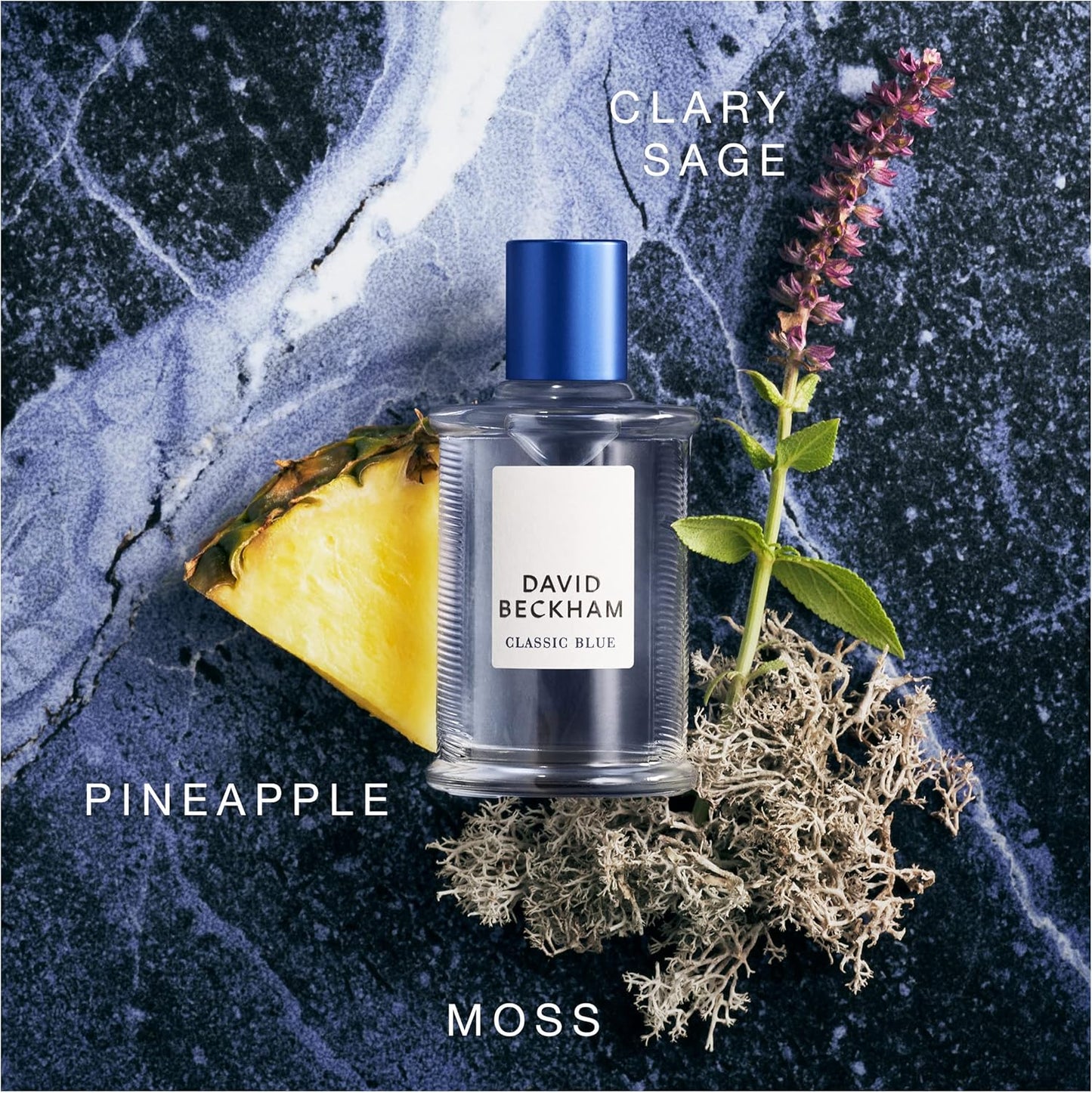 DAVED BECAME PERFUMES